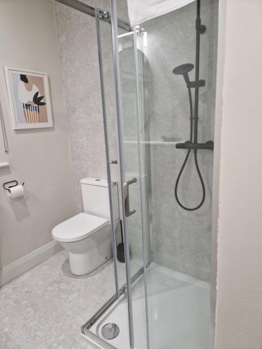 a bathroom with a shower with a toilet at Willow Lodge Cashel- Rock View-Sleeps 8 guests-Spacious- Cosy in Cashel