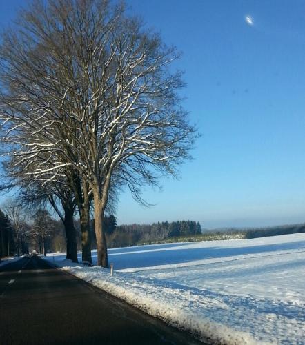a tree is standing next to a snow covered road at The BlackSmith's House in Libin