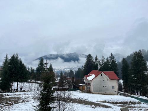 a barn in a field with snow on the ground at Casa Ana in Câmpulung Moldovenesc