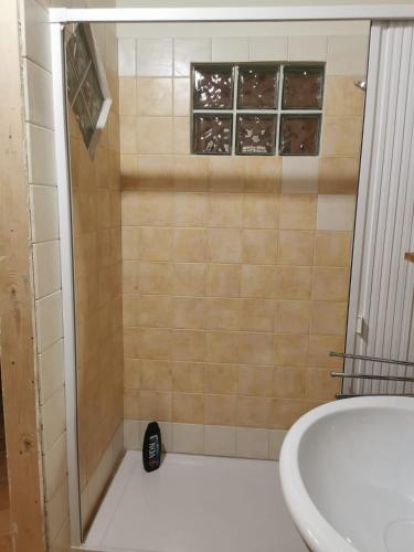 a bathroom with a shower with a sink and a toilet at Bed And Breakfast "ANNA" in Bagnara Calabra