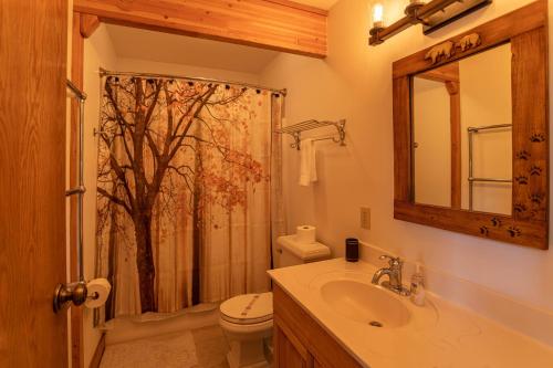a bathroom with a toilet and a sink and a shower at Mountaineer Manor in Sugar Grove