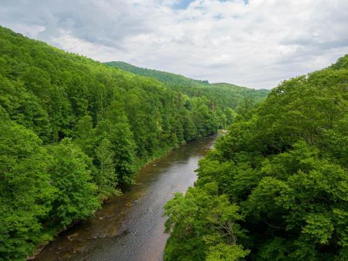 an aerial view of a river in a forest at Bucky's Hideaway in Todd