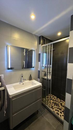 une salle de bain avec un lavabo et une douche dans l'établissement Apparemment spacieux et lumineux pour 6 voyageurs, à Strasbourg