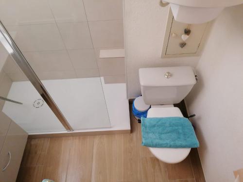 a small bathroom with a toilet and a shower at Appartement Romantic Sea in Le Barcarès