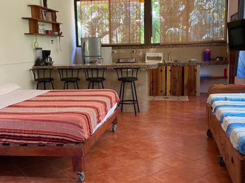 a room with two beds and a kitchen with a counter at Blanconejo de Montezuma in Montezuma