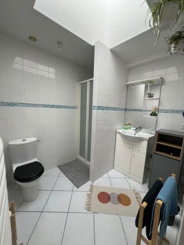 une salle de bain blanche avec des toilettes et un lavabo dans l'établissement Appartement Charlie, Wifi, Charme, Centre Historique, à La Rochelle