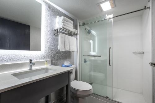 a bathroom with a toilet and a sink and a shower at Rodeway Inn & Suites near Outlet Mall - Asheville in Asheville