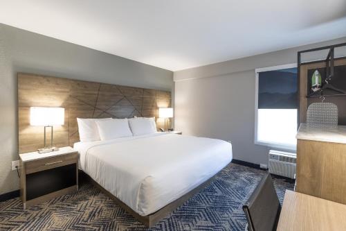 a hotel room with a large bed and a window at Rodeway Inn & Suites near Outlet Mall - Asheville in Asheville