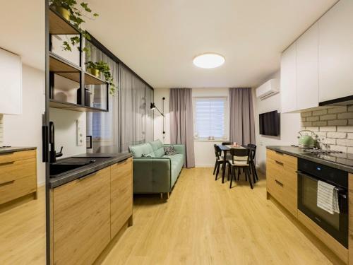 Dozen Kittens Apartment