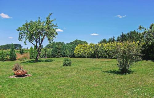 Gallery image of Ferienhaus Feldberger in Dolgen
