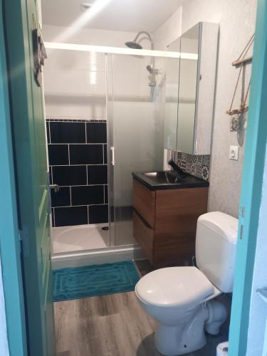 une salle de bain avec toilettes, douche et lavabo dans l'établissement Clair de lune, à Murat-le-Quaire
