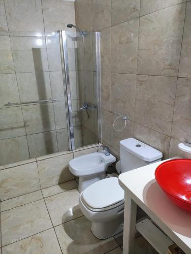 ein Badezimmer mit Toilette, Dusche und Waschbecken in der Unterkunft Los Delfines 2 in Mar de las Pampas