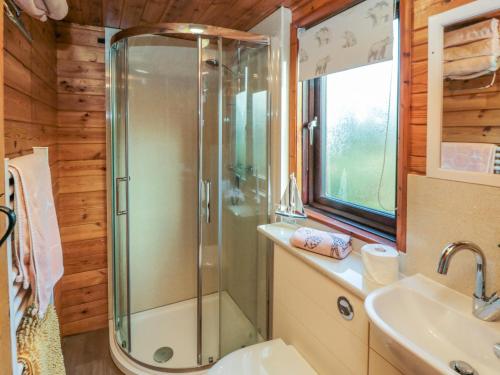 a bathroom with a shower and a sink at Holly Lodge in Saltburn-by-the-Sea