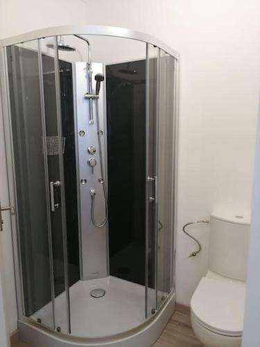 une salle de bain avec douche et toilettes dans l'établissement Saint-Brieuc centre superbe appartement, à Saint-Brieuc