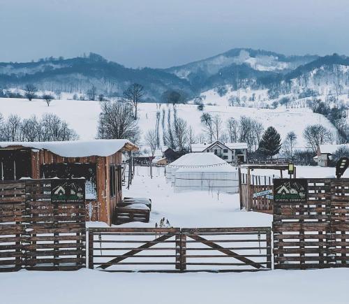 Glamping Spiritul Zimbrului