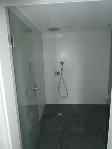 a bathroom with a shower with a glass door at Naturapartment SCHWARZWALDSEELE Kniebis in Freudenstadt