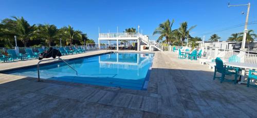 a swimming pool with blue chairs and a table at Happy in the Keys Tiny Home in Key Largo