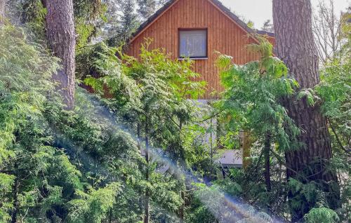 Taman di luar Ferienwohnung Dierhagen