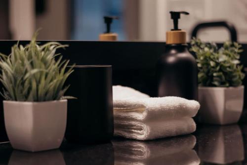 a bathroom counter with towels and a bottle of soap at Rustic Meets Modern 2BR 2BA in Greenville