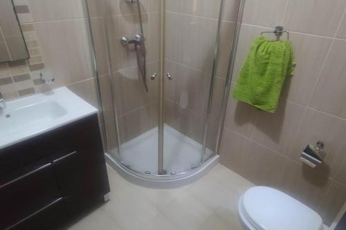 a bathroom with a shower and a toilet and a sink at Cosy two bedroom maisonette in Xewkija