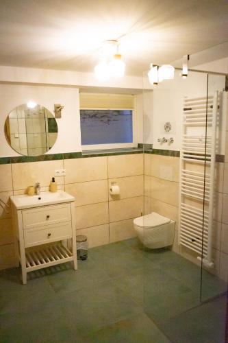 a bathroom with a toilet and a sink and a mirror at Ferienwohnung "Wasser" mit Sauna im Ferienhaus am Waldbach in Kirchzell