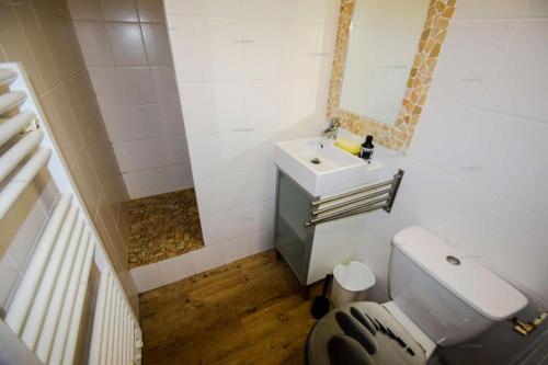 une petite salle de bain avec un lavabo et des toilettes dans l'établissement Résidence Le Serro Torre - 3 Pièces 6 pers - LE CERRO TORRE - PLAGNE CENTRE MAE-1111, à La Plagne Tarentaise