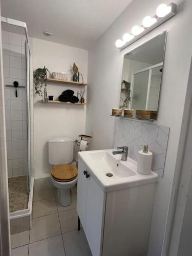 une salle de bain avec toilettes, lavabo et miroir dans l'établissement Le Petit Urbain, à Troyes