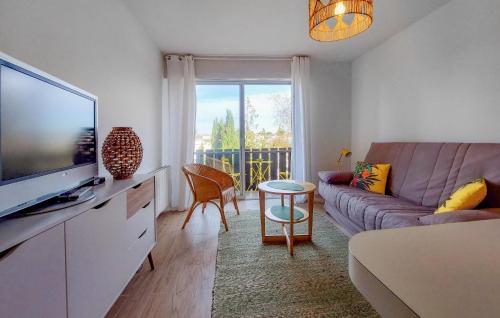 un salon avec un canapé et une télévision à écran plat dans l'établissement Gorgeous Apartment In Saint-Georges-De-Didon, à Saint-Georges-de-Didonne