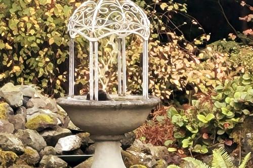 Een tuin van Greentree Pacific House