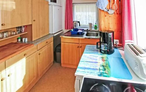 Dapur atau dapur kecil di Ferienhaus Dierhagen