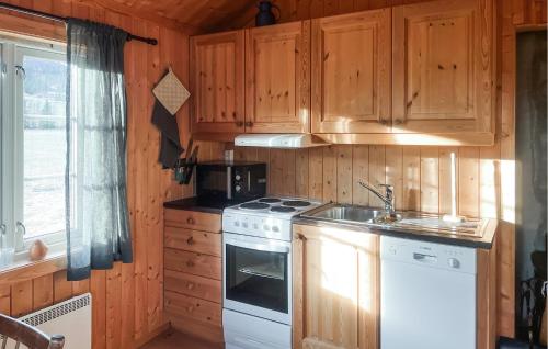 a kitchen with wooden cabinets and a stove and a sink at Stunning Home In Fåvang With Wifi in Favang
