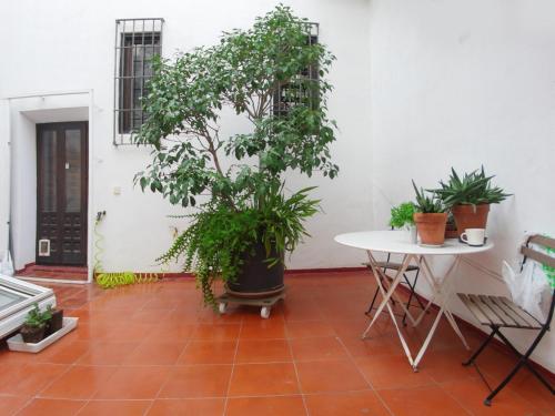 VIP HOUSE RENTALS, entire apartment in Malaga Old Town