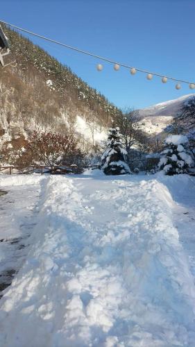 a snow covered yard with a string of lights at Cabana Valea Sadului in Rau Sadului