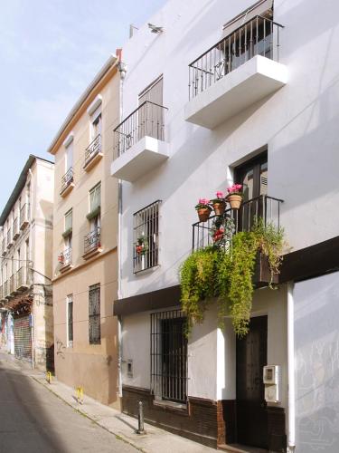 VIP HOUSE RENTALS, entire apartment in Malaga Old Town