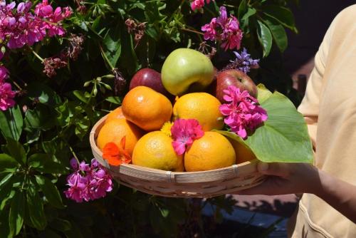 a person holding a basket of fruit and flowers at Hotel Che Mar in Necochea