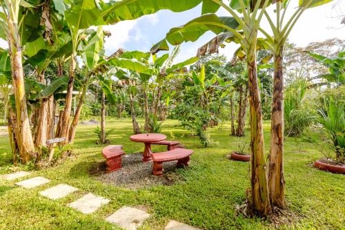 Сад в Rio Celeste Birds Garden Apartment, Comodidad y Aire Acondicionado