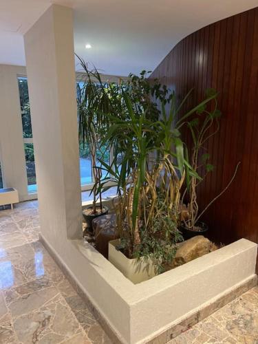 a group of plants in a planter in a building at Studio Buttes Chaumont refait à neuf in Paris