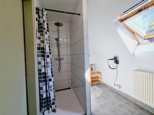 une salle de bain avec une douche avec une porte vitrée dans l'établissement Gîte bien-être avec piscine, spa et sauna à Gussignies - FR-1-510-223, à Gussignies