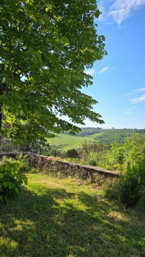 a stone wall in a field with a tree at Amore in Chianti in Greve in Chianti