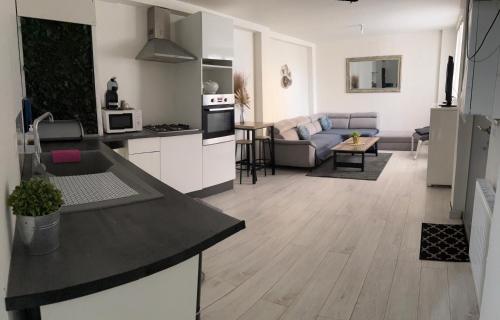 Kuchyňa alebo kuchynka v ubytovaní Royale spa