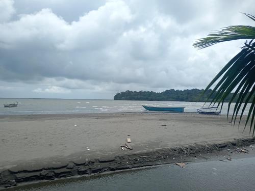 a beach with two boats in the water and a palm tree at Los cocos Hostal in Bazán