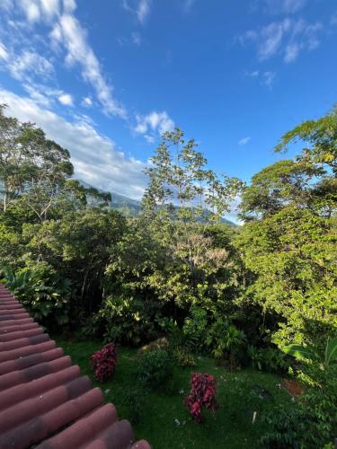 a view from the roof of a house with trees at El Ensueño Ecohostal & Glamping in Mocoa