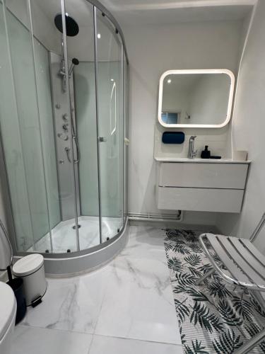 a bathroom with a shower and a sink at Eiffel Tower spacious 2-bedroom, 2-bathroom quiet apartment, elegant and peaceful in Paris