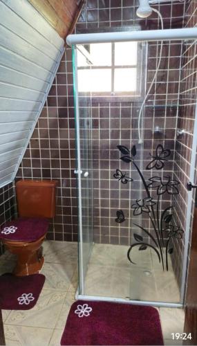 a bathroom with a shower with a toilet in it at Chalé Paraíso das Nascentes in Salesópolis