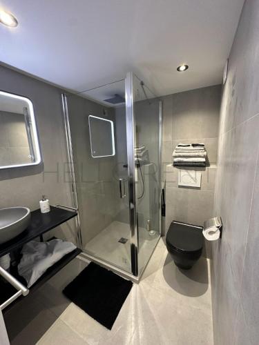 a bathroom with a shower and a toilet and a sink at Studio confort Business 20m2 - 2 min a pied de Monaco in Beausoleil