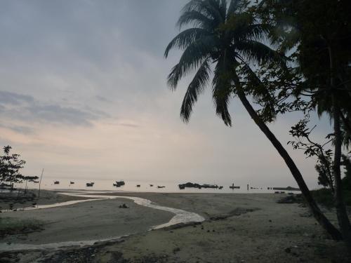 a palm tree and a beach with boats in the water at Cham Island Smiles Homestay in Tân Hiệp