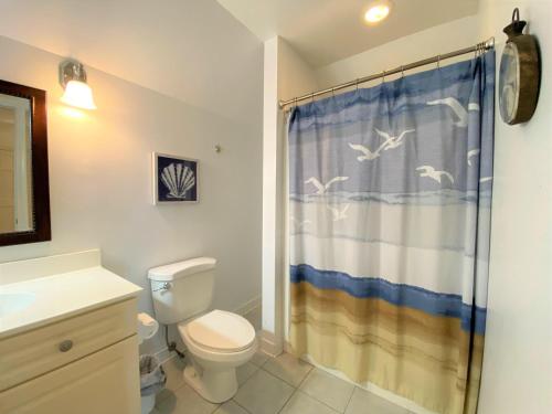 a bathroom with a toilet and a shower at Lookout Point in Edisto Island