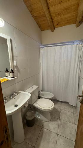 a bathroom with a white toilet and a sink at Alquiler Centro SAN RAFAEL in San Rafael