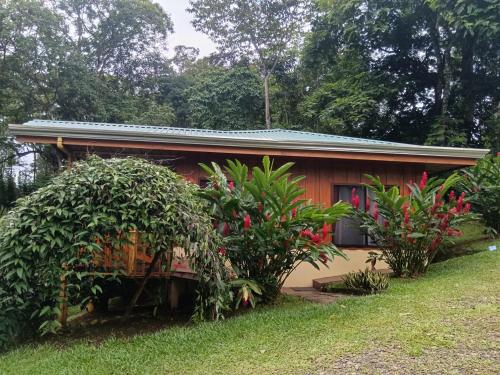 a house with a garden in front of it at Gambas Lodge in Fortuna