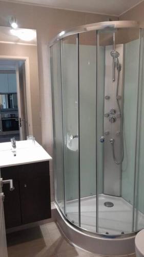 a bathroom with a shower with a sink and a toilet at Alta Vista Pucon Centro II in Pucón
